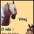Moe tvorba